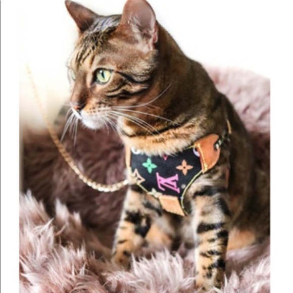 MEET YOUR NEW POSHER, 🧡 🧡FASHION IS ART AND LUV 🧡🧡 - Picture 17 of 17